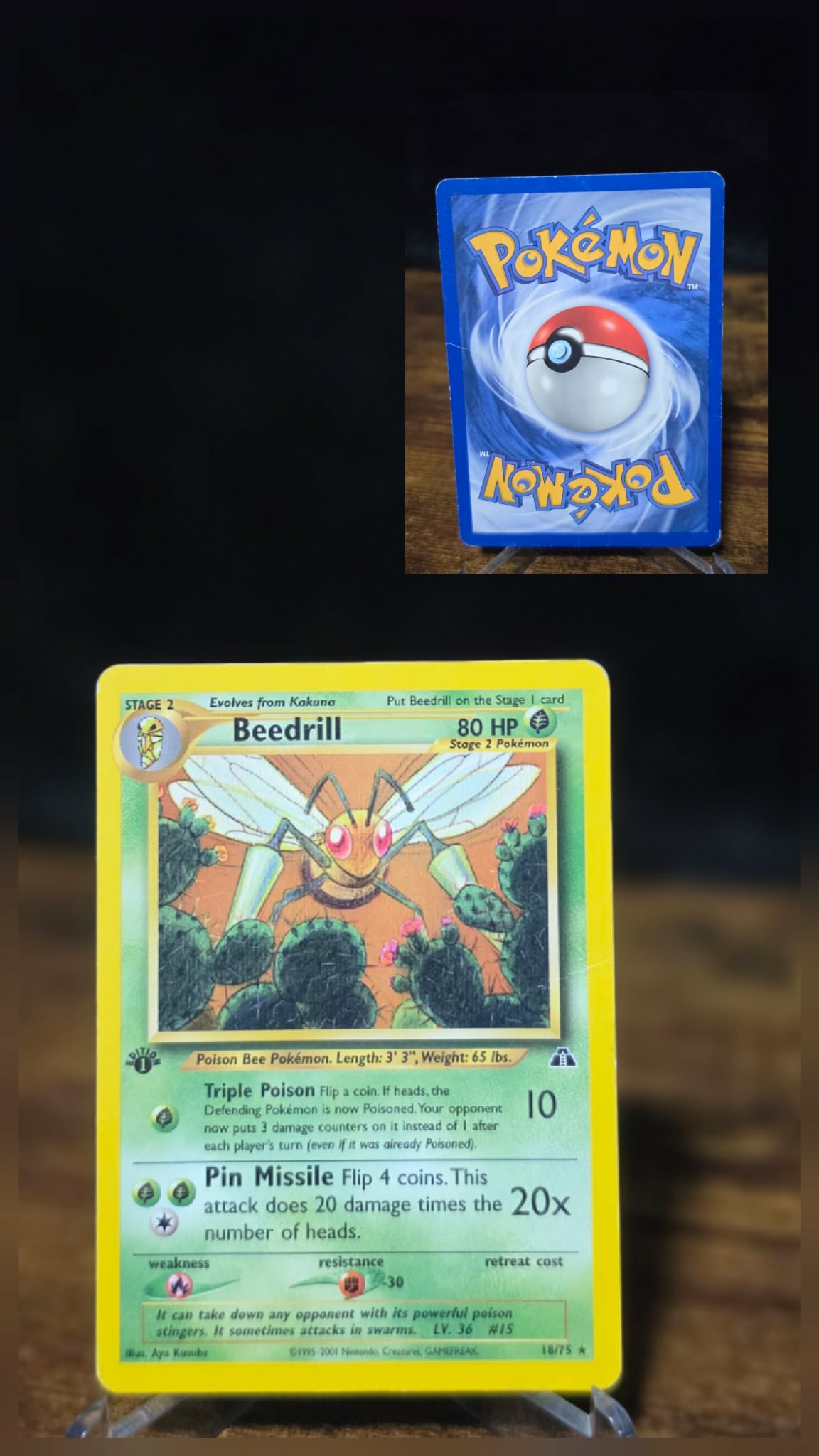 Beedrill 18/75 – Neo Discovery