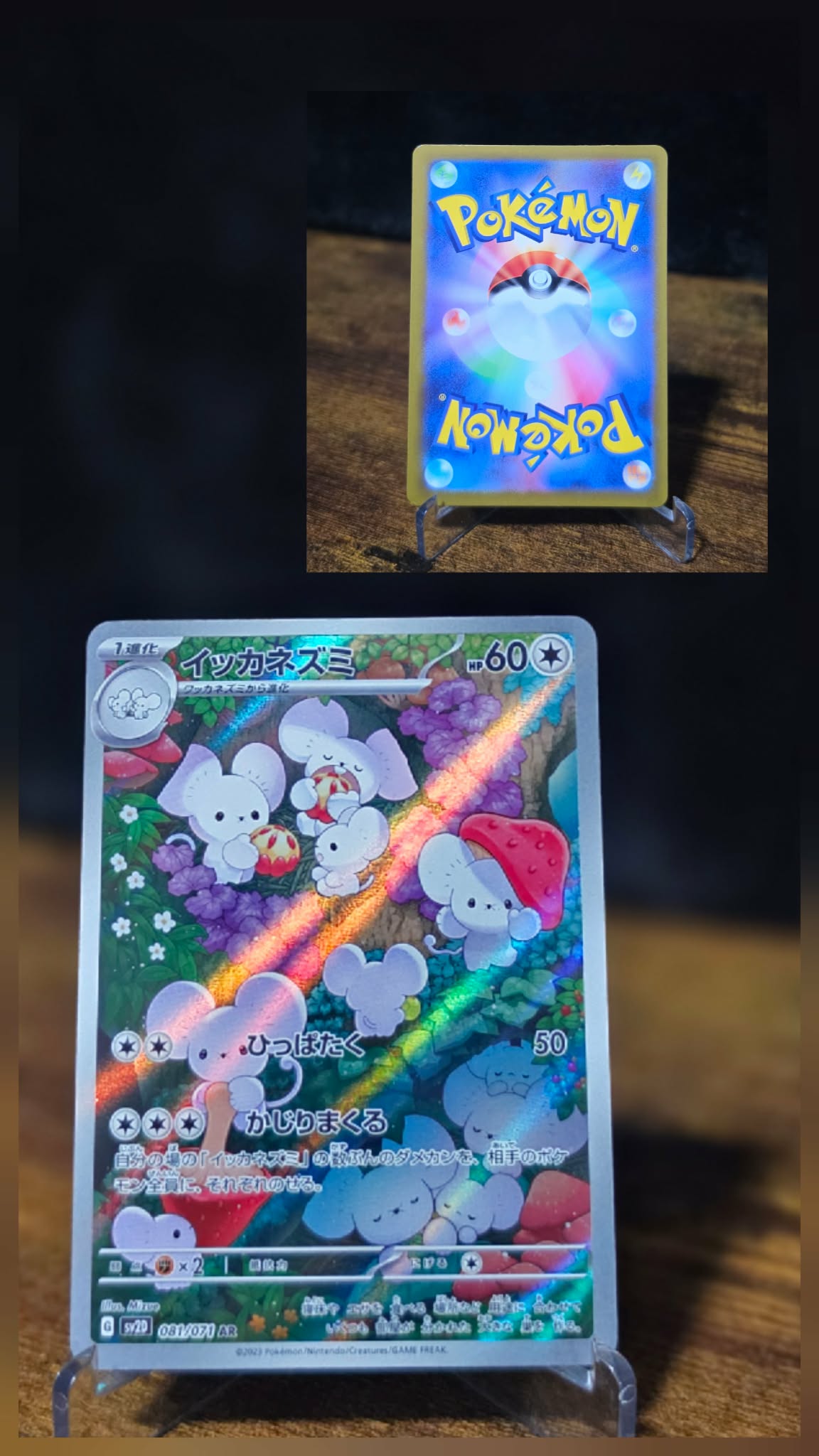 Maushold 081/071 – Japanese Snow Hazard Art Rare
